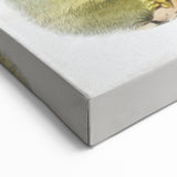 Romanticism Art: Classic Musk Ox Illustration on Historical Canvas