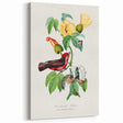 Romantic Art Prints: Vermilion Flycatcher and Botanical Study
