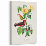 Romantic Art Prints: Vermilion Flycatcher and Botanical Study