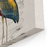 Romantic Art Prints: Purple Heron by Charles Dessalines d'Orbigny