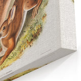 Romanticism Art: Northern Hares - Classic Romantic Wildlife Canvas