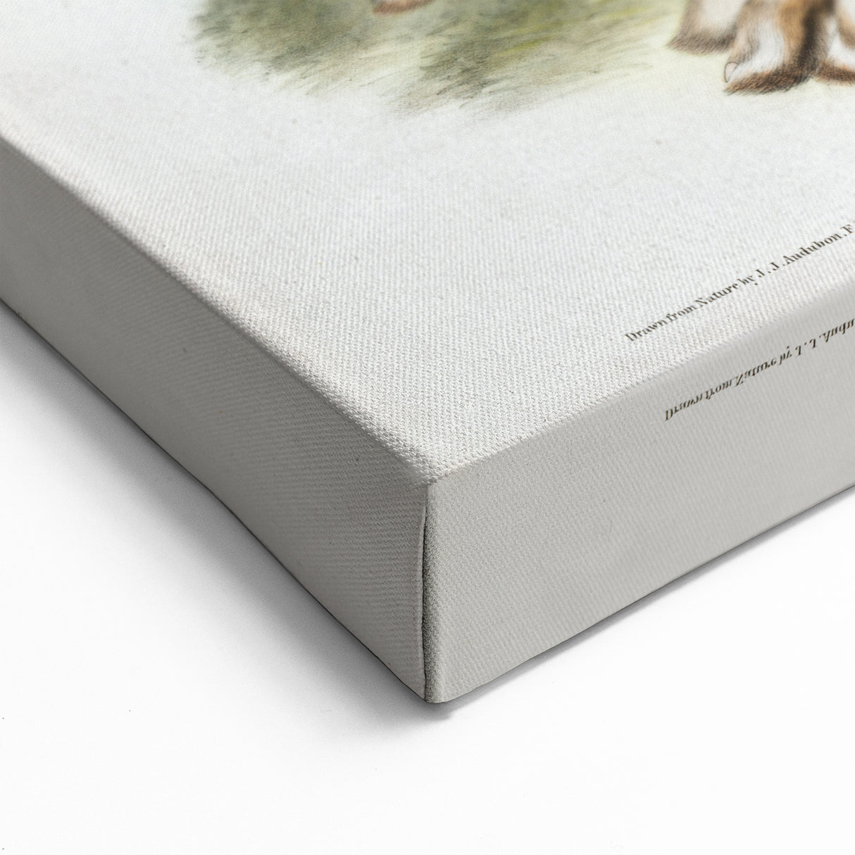 Romanticism Art: Northern Hares - Classic Romantic Wildlife Canvas