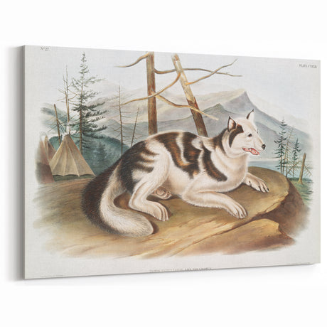Romanticism Art: Hare Indian Dog by Audubon - Wildlife Canvas Print