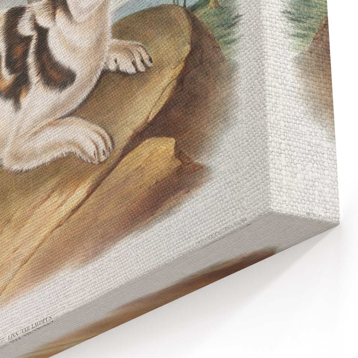 Romanticism Art: Hare Indian Dog by Audubon - Wildlife Canvas Print