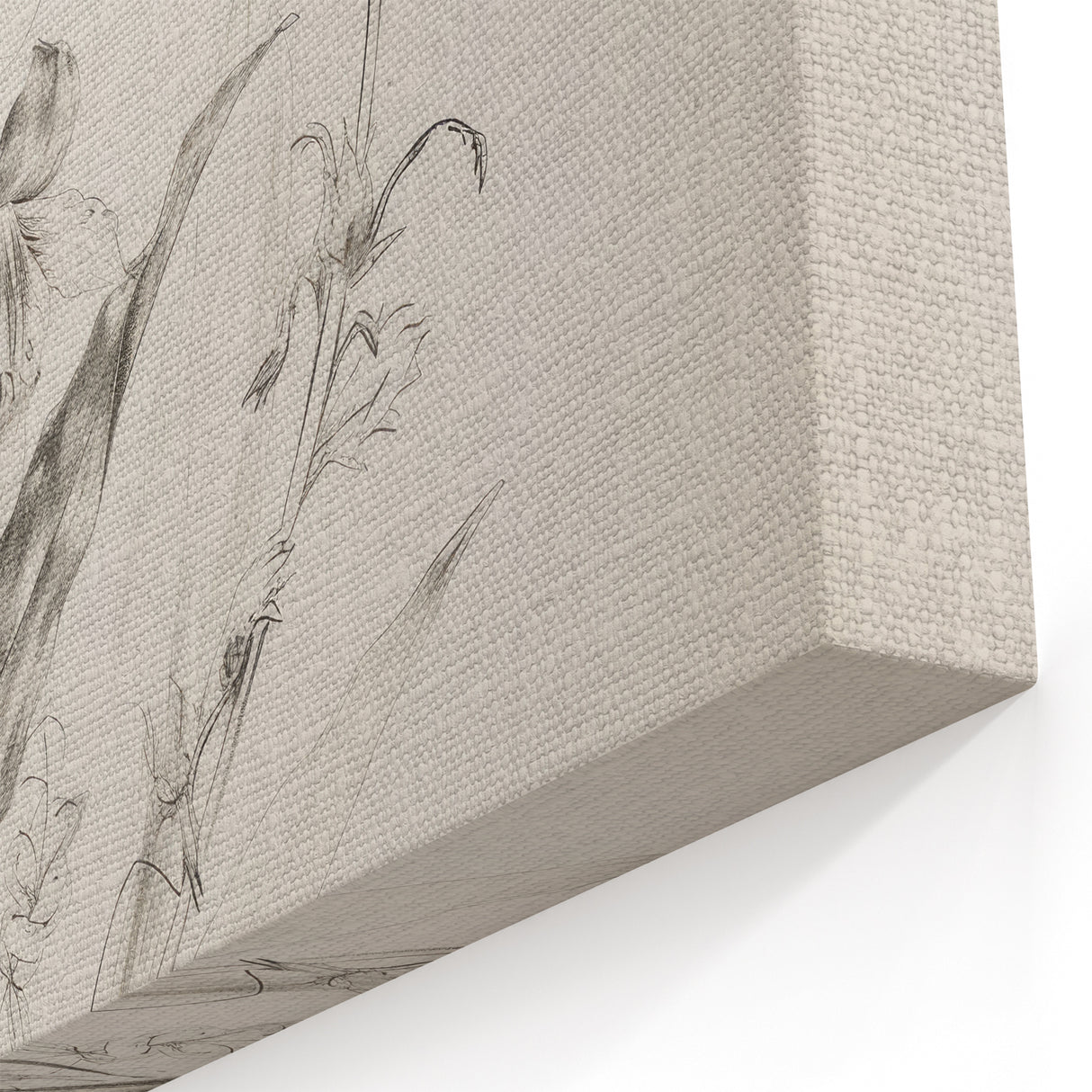 Minimalist Black-and-White Floral Sketch – Elegant Botanical Canvas