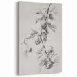 Elegant Black-and-White Botanical Art – Apple Tree Branch Sketch