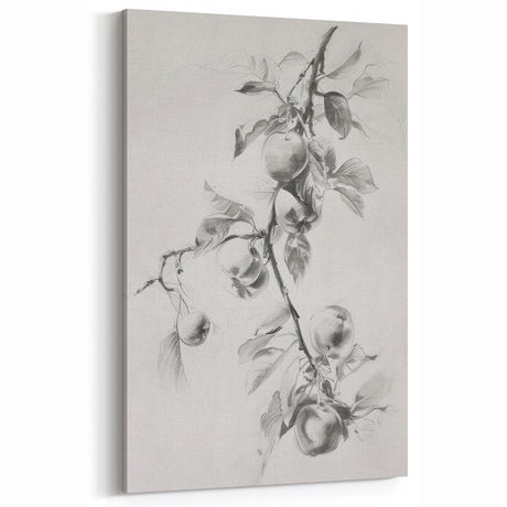 Elegant Black-and-White Botanical Art – Apple Tree Branch Sketch
