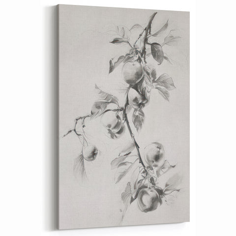 Elegant Black-and-White Botanical Art – Apple Tree Branch Sketch