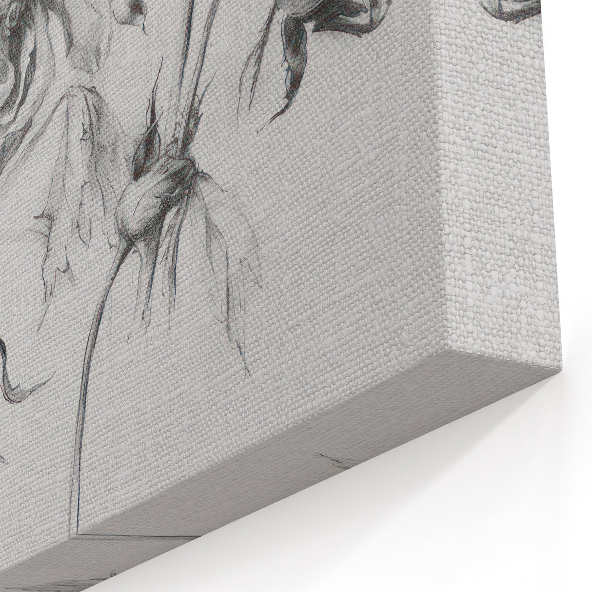Elegant Black-and-White Floral Sketch – Timeless Botanical Canvas