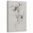 Delicate Floral Sketch - Black and White Botanical Line Art on Canvas