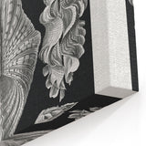 Ernst Haeckel’s Shell Illustrations - Elegant Black and White Wall Art
