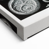 Modern Wall Art - Intricate Black and White Cystoidea Design