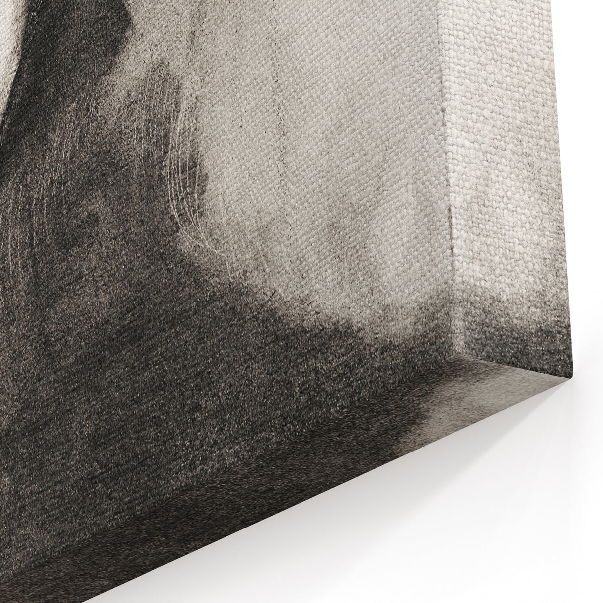 Modern Wall Art - Strange Flower Abstract Portrait in Monochromatic Style