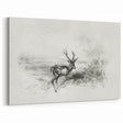 Majestic Deer Sketch - Monochrome Canvas Prints for Elegant Decor
