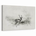 Majestic Deer Sketch - Monochrome Canvas Prints for Elegant Decor