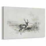 Majestic Deer Sketch - Monochrome Canvas Prints for Elegant Decor