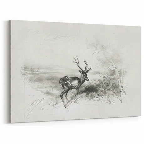 Majestic Deer Sketch - Monochrome Canvas Prints for Elegant Decor
