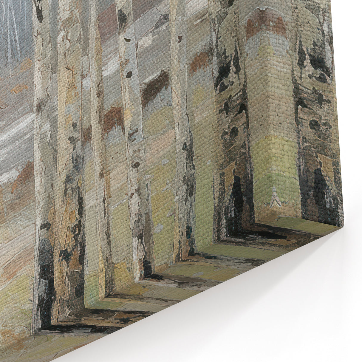 Birch Forest Landscape - Nature-Inspired Canvas Prints