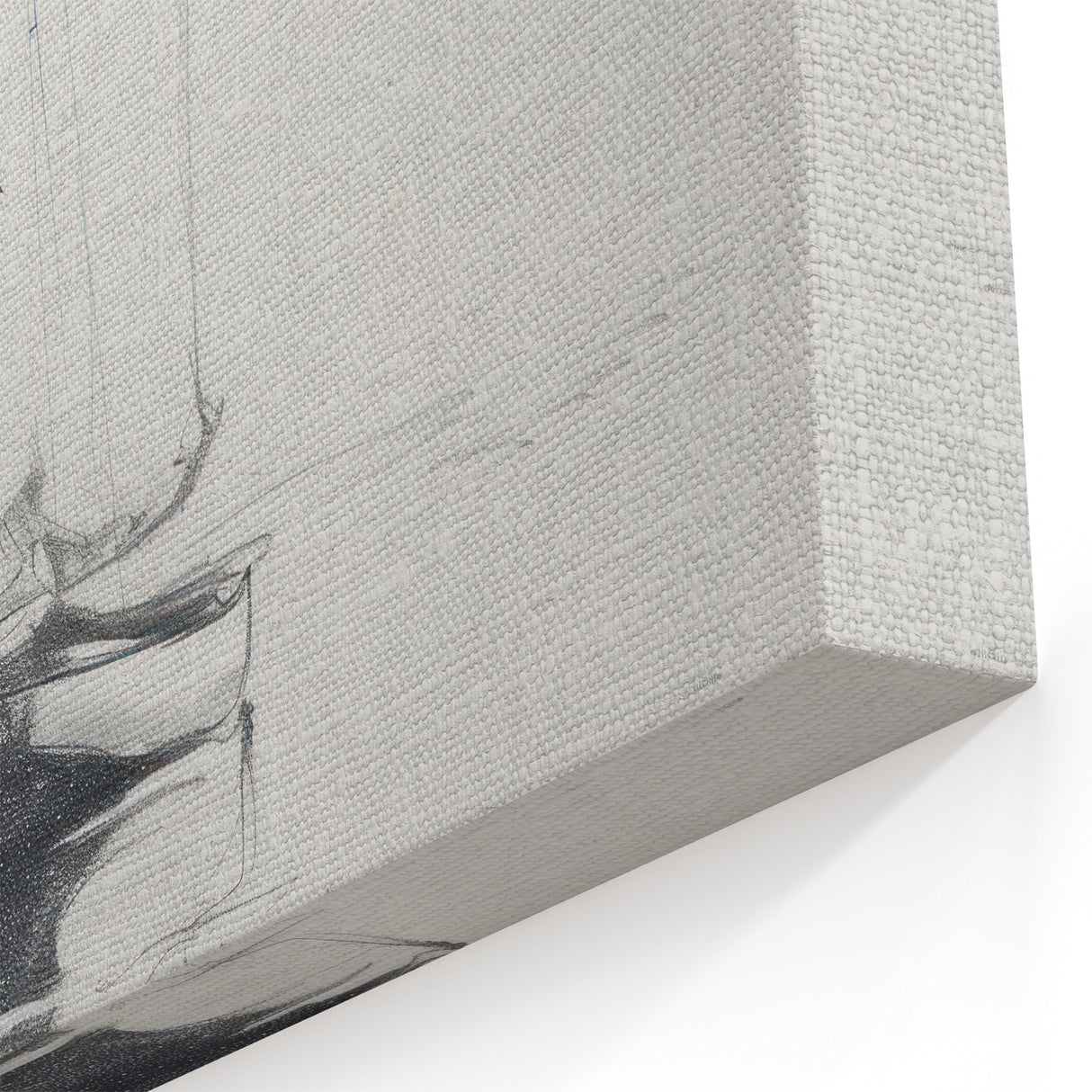 Birch Forest Landscape - Nature-Inspired Canvas Prints