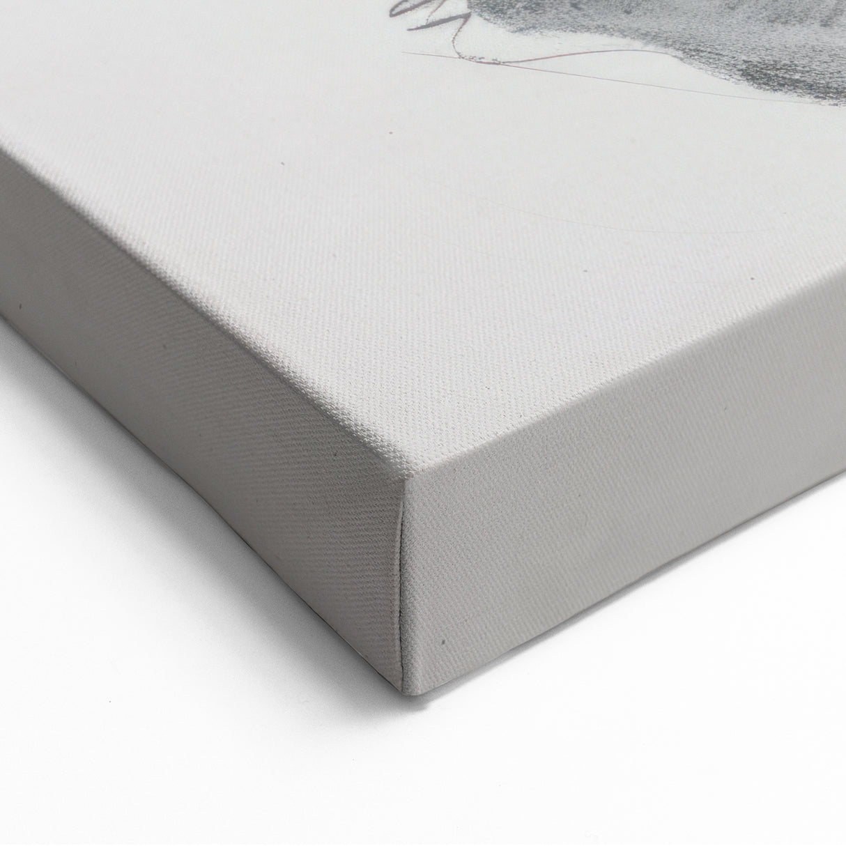Birch Forest Landscape - Nature-Inspired Canvas Prints