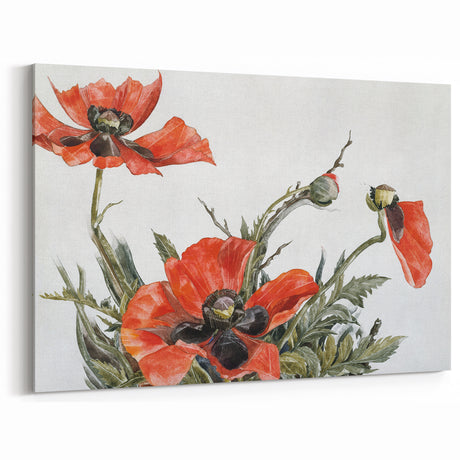 Modern Wall Art of Red Poppies - Contemporary Floral Watercolor