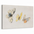 Delicate Butterfly Artwork - Animal Canvas Prints for Home Decor