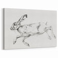 Running Hare Artwork - Animal Canvas Prints for Home Decor