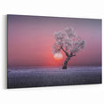 Serene Fields Art Print - Frosted Tree and Sunset Wall Art