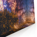 Fields Landscape Acrylic Prints - Lone Tree Under Milky Way Sky