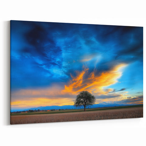 Fields Landscape Acrylic Prints - Lone Tree with Vibrant Sky Art