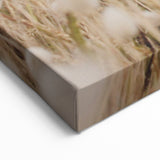 Whispering Cotton Grass - Nature-Inspired Summer Wall Art