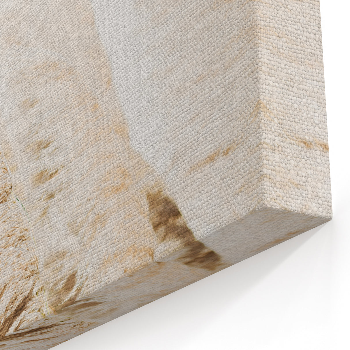 Golden Pampas Elegance - Summer Vibes Wall Art