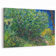 Impressionism Wall Art - Lilac Bush by Van Gogh Print