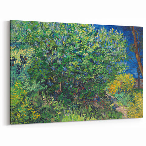 Impressionism Wall Art - Lilac Bush by Van Gogh Print