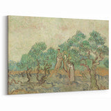 Impressionist Olive Grove Wall Art - The Olive Orchard by Van Gogh