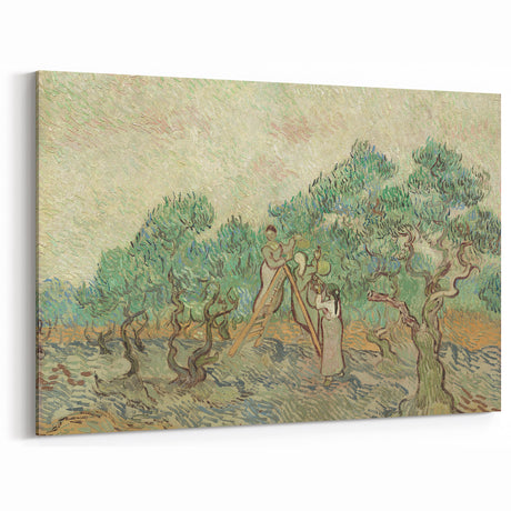 Impressionist Olive Grove Wall Art - The Olive Orchard by Van Gogh