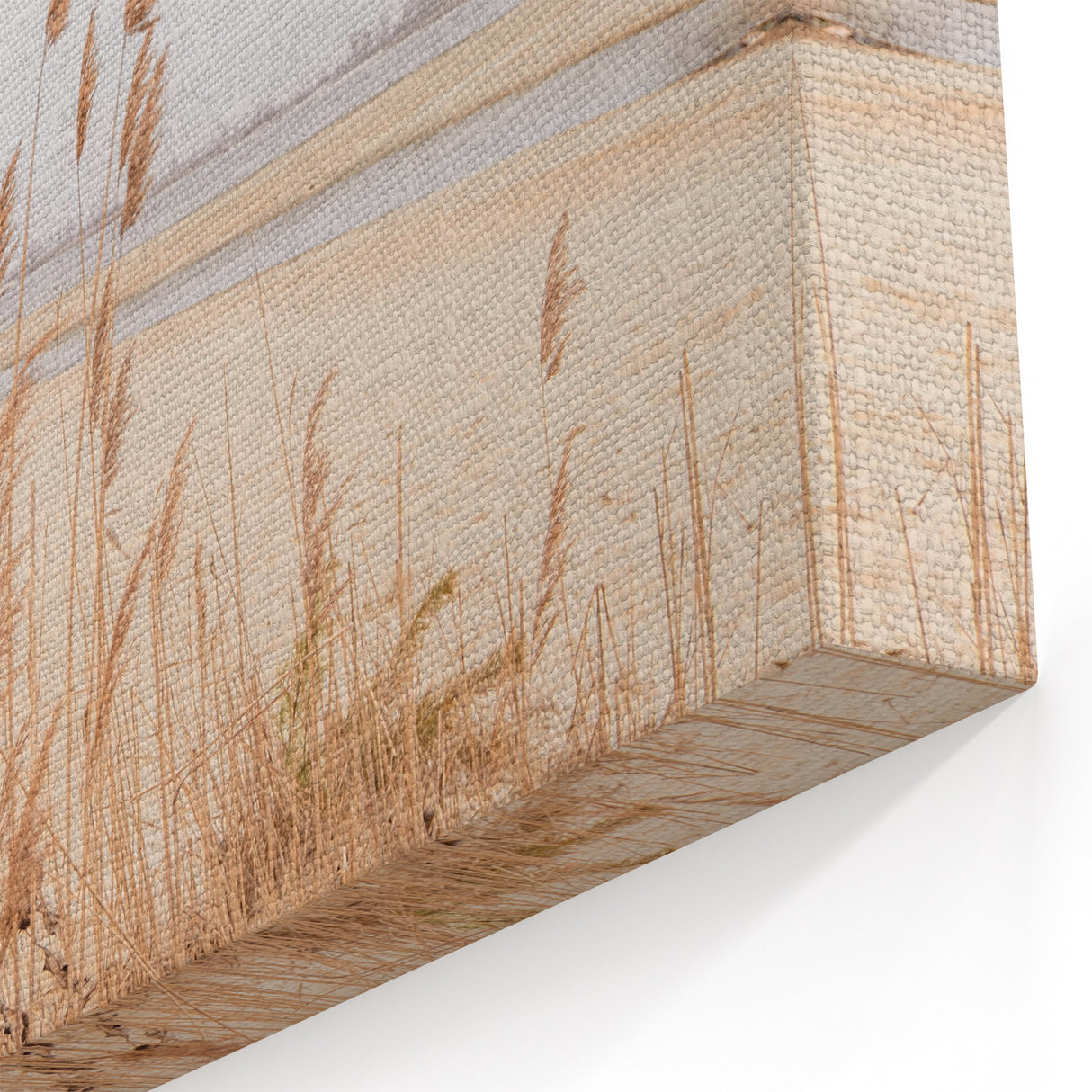 Golden Dune Grasses - Relaxing Summer Scenery Canvas