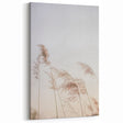Floral Summer Art – Gentle Reed Grass in Soft Golden Light