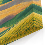 Rolling Fields Canvas Art - Vibrant Hills and Lone Tree Panorama