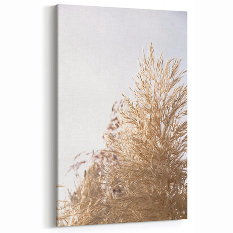Summer Vibes Prints – Sunlit Golden Grass Canvas