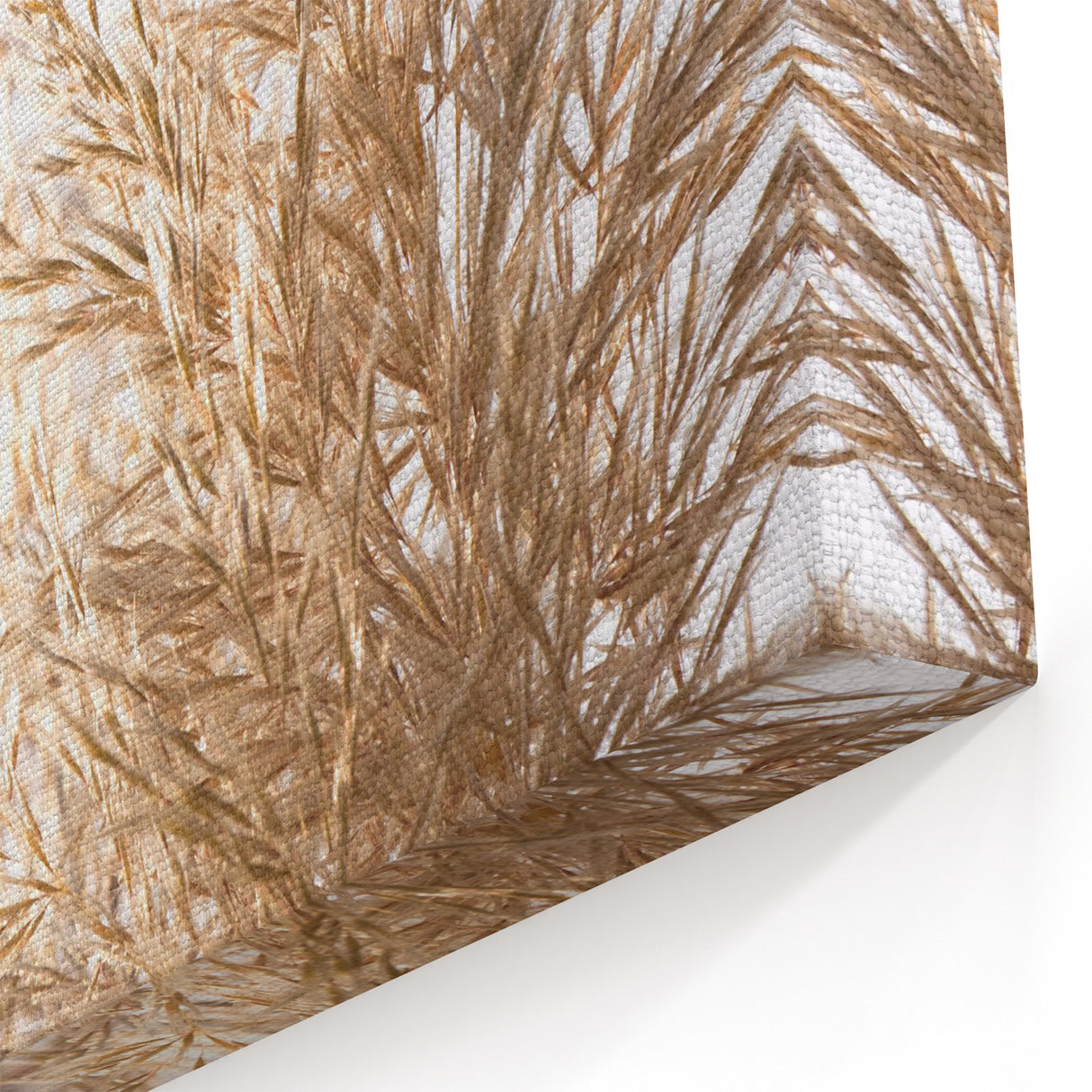 Summer Vibes Prints – Sunlit Golden Grass Canvas