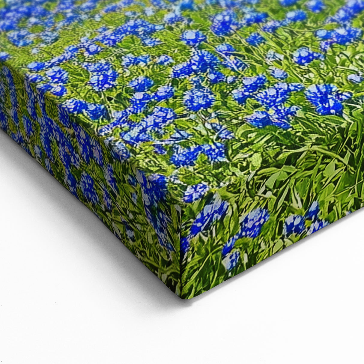 Field Landscape Wall Art - Blue Wildflower Hill With Lone Tree