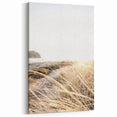 Summer Scenery Canvas - Golden Beach Grass Nature Landscape Art