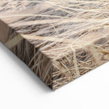 Summer Scenery Canvas - Golden Beach Grass Nature Landscape Art