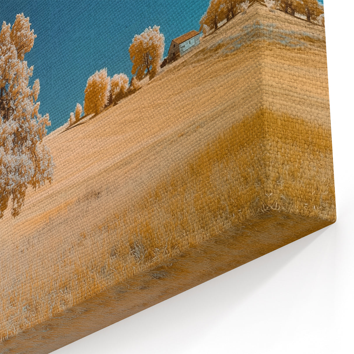 Fields Panorama Wall Decor - Golden Tree Under Blue Sky Art