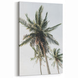Tropical Wall Art - Palm Trees Against Clear Summer Sky