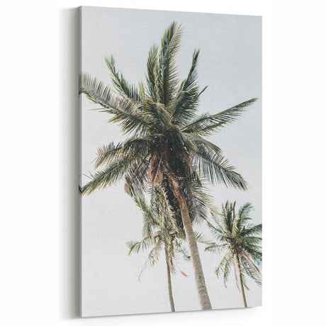 Tropical Wall Art - Palm Trees Against Clear Summer Sky