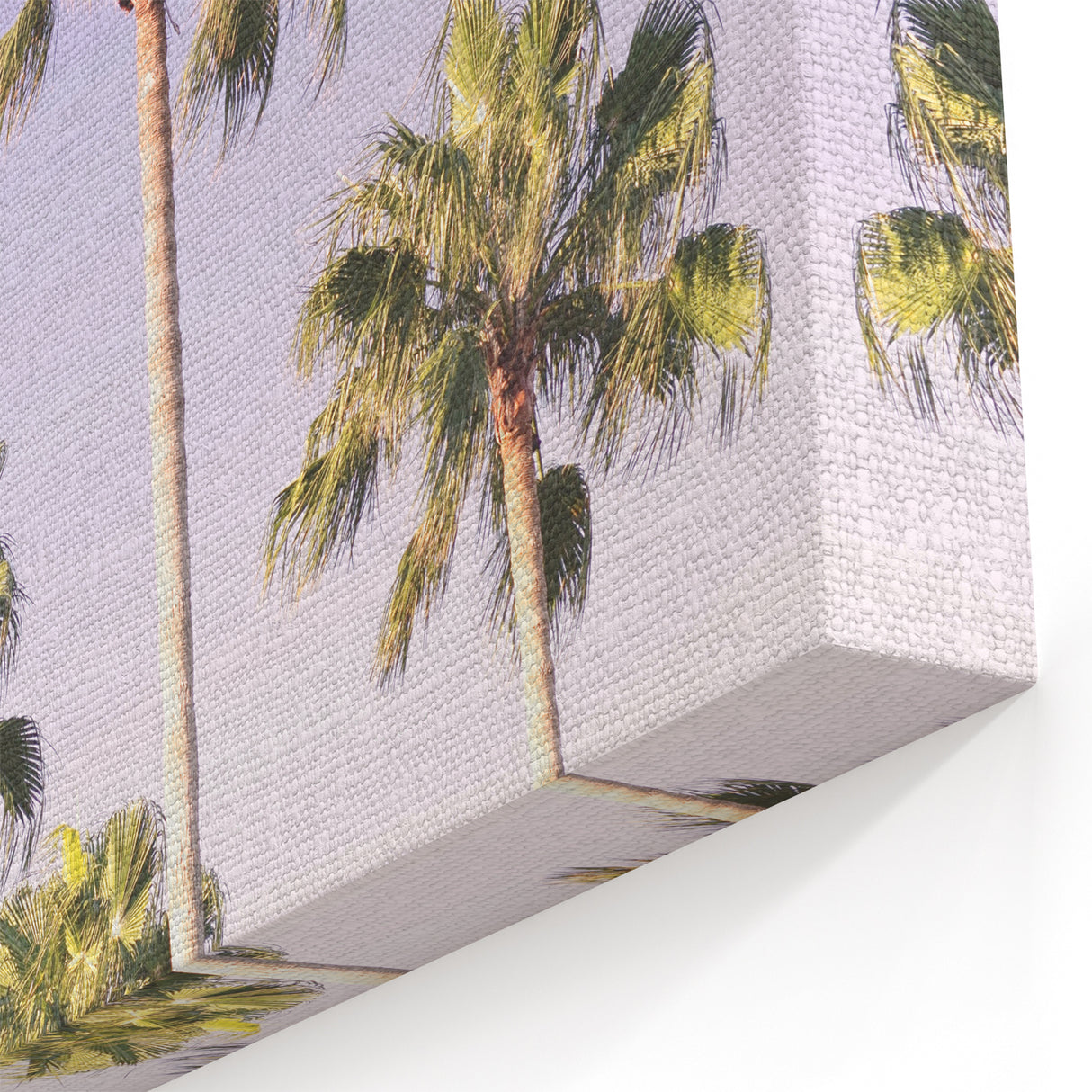 Floral Summer Art - Towering Palm Trees with Lavender Sky Print