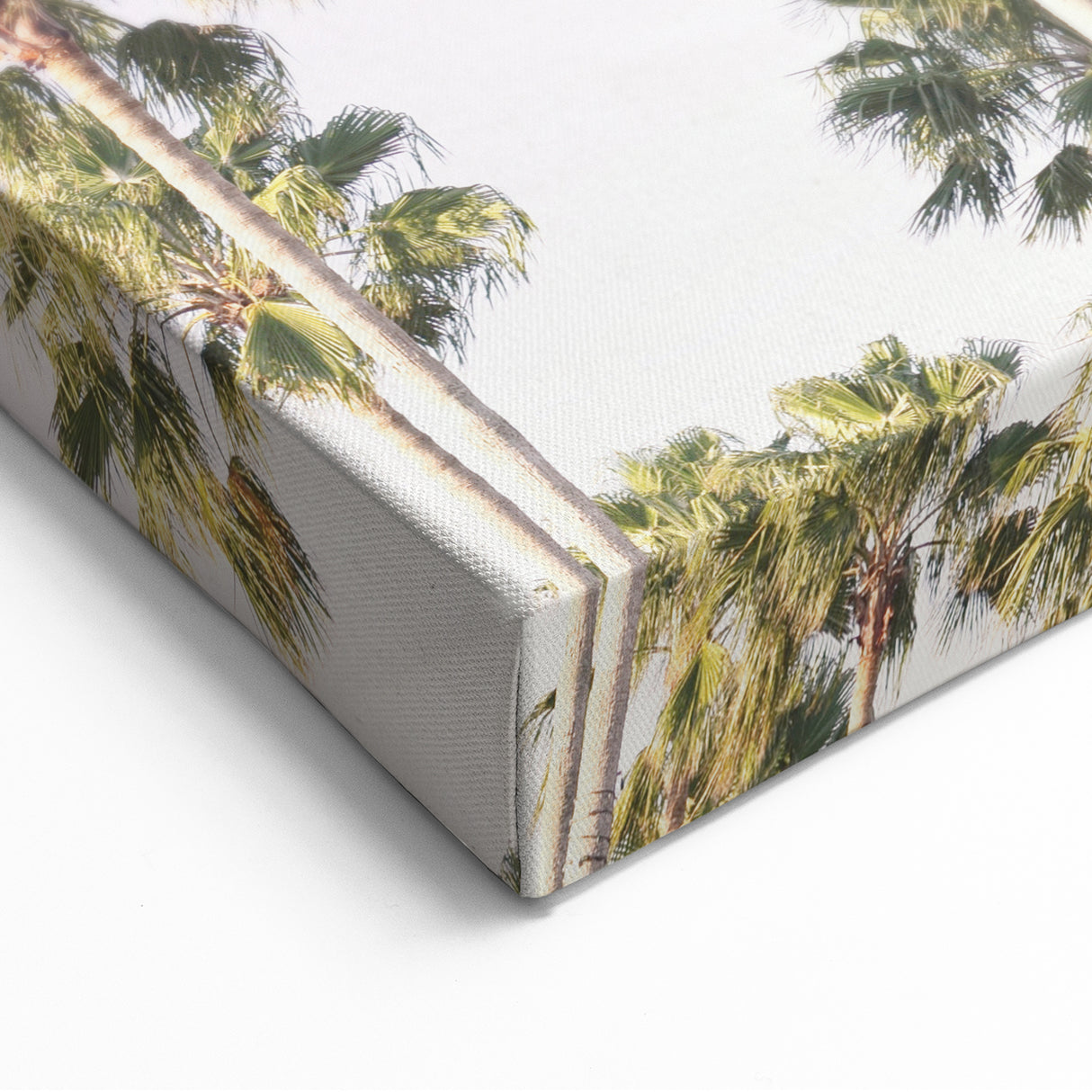 Floral Summer Art - Towering Palm Trees with Lavender Sky Print