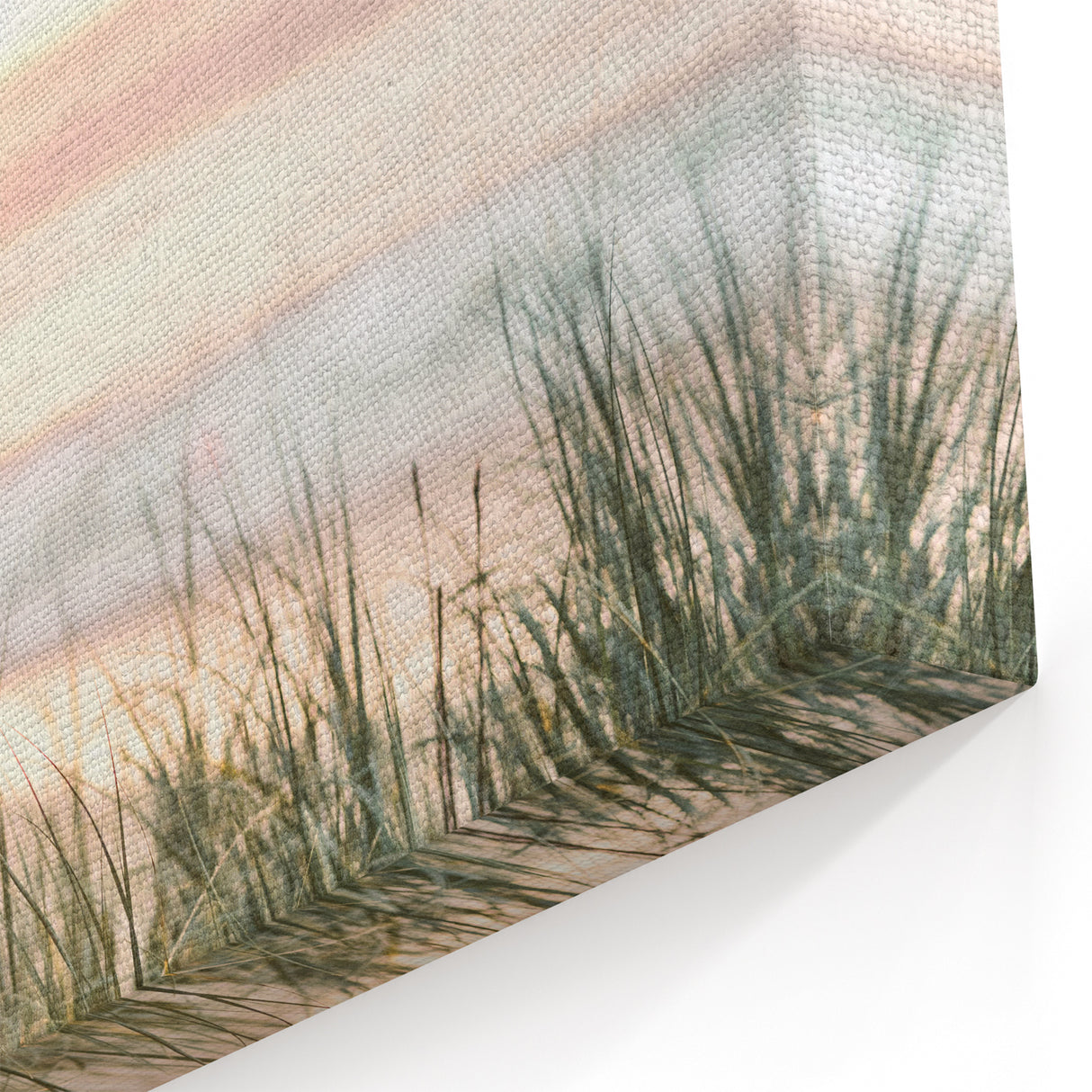 Summer Scenery Canvas - Sunlit Coastal Grasses at Sunset